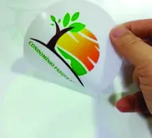 Adesivo Retroverso